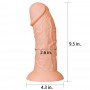 Фаллоимитатор LoveToy Realistic Curved Dildo 9.5 Телесный